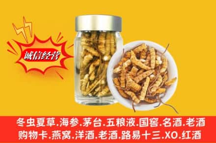 黔东南州雷山回收散虫草