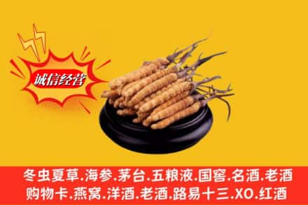 黔东南州雷山求购回收虫草多少钱每克